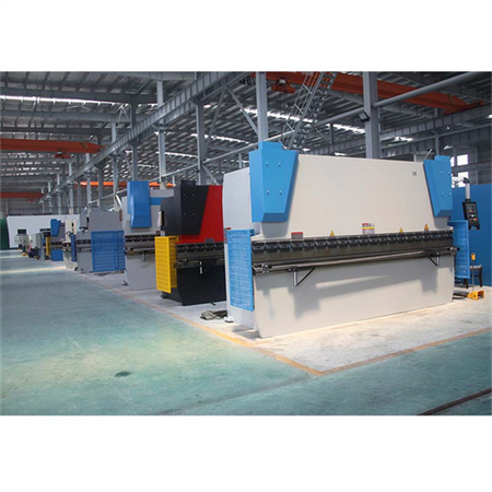 WE67K-100T/3200 Pressa piegatrice idraulica per macchine per l'industria personalizzata in lamiera CNC