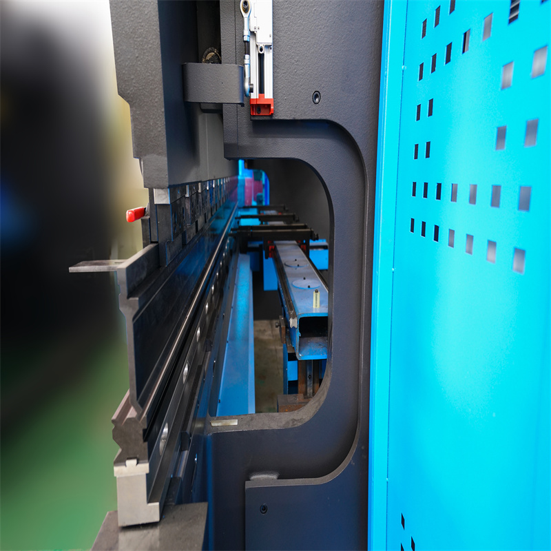 Pressa idraulica CNC sicura da 250 tonnellate per la piegatura della lamiera d'acciaio