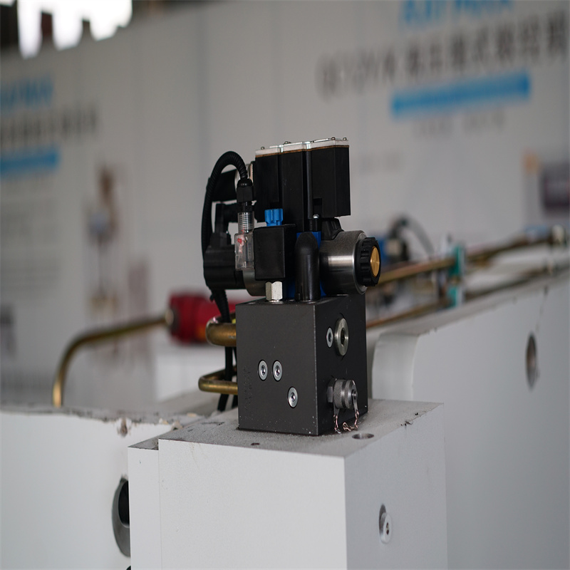 China 220t Cnc Bending Machine 6 1 Axis Prezzo del freno della pressa idraulica