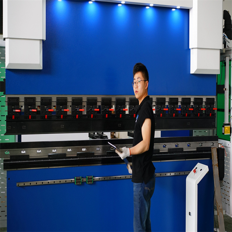 China 220t Cnc Bending Machine 6 1 Axis Prezzo del freno della pressa idraulica