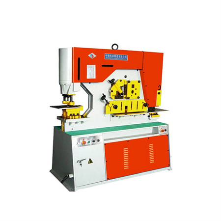 Pressa per stampaggio in fabbrica Vendita in fabbrica Varie macchine per stampaggio generiche per chin Fong ampiamente utilizzate