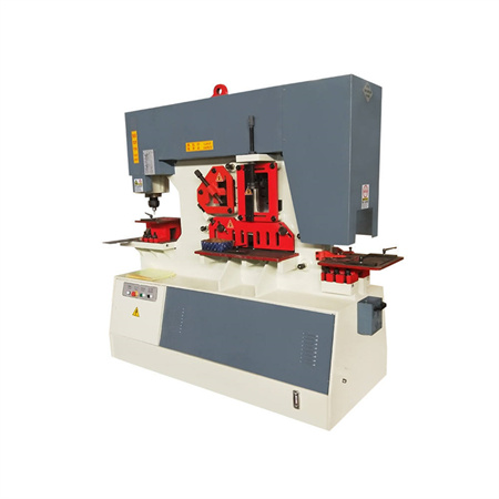 cesoia e punzonatrice idraulica per lamiera d'acciaio macchina da taglio e punzonatrice per lavorazione del ferro DIW-160T made in China
